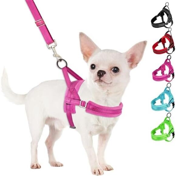 No Pull Small Dog Harness and Leash Set, Puppy Soft Vest Harness Neck & Chest - Picture 7 of 7